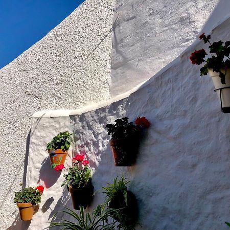 Casa Verde Lägenhet Istán Exteriör bild