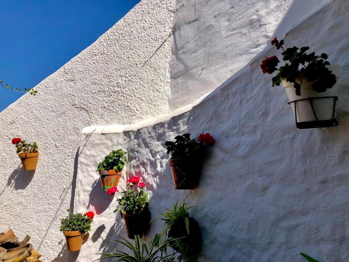 Casa Verde Lägenhet Istán Exteriör bild